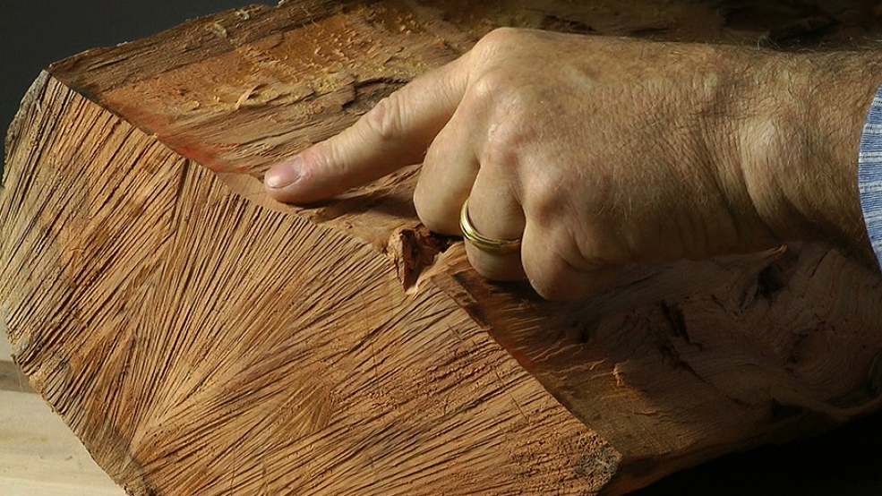 Selecting Your Wood